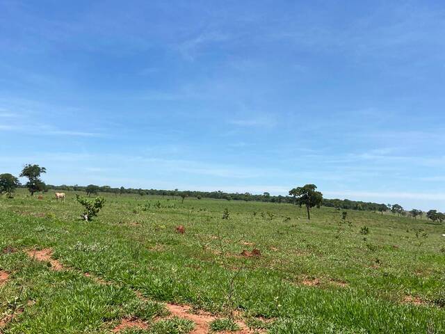 #2661 - Fazenda para Venda em Aparecida do Taboado - MS - 3