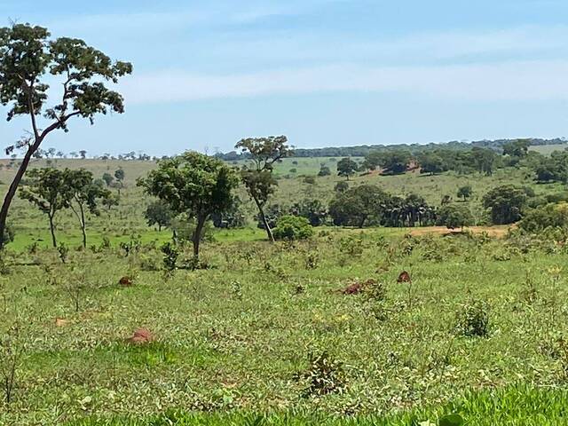 Fazenda para Venda em Aparecida do Taboado - 4