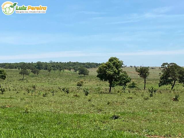 Fazenda para Venda em Aparecida do Taboado - 5