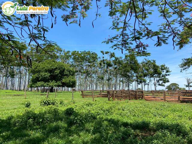 #2661 - Fazenda para Venda em Aparecida do Taboado - MS - 1