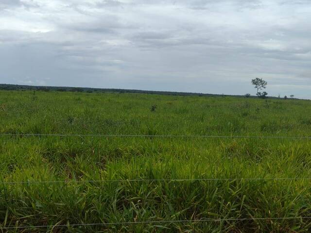 Fazenda para Venda em Crixás do Tocantins - 4
