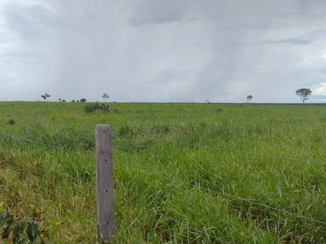 Fazenda para Venda em Crixás do Tocantins - 5