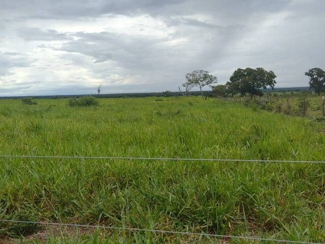 #2662 - Fazenda para Venda em Crixás do Tocantins - TO - 3