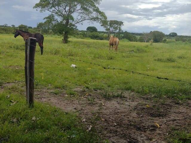 #2662 - Fazenda para Venda em Crixás do Tocantins - TO - 2