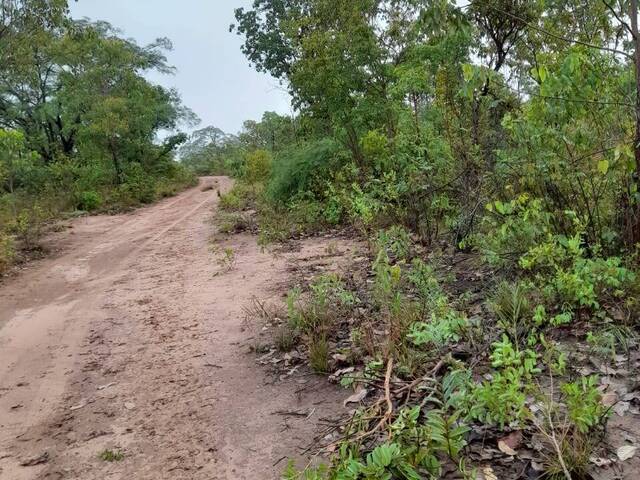 Fazenda para Venda em Balsas - 4