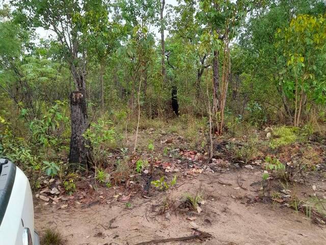 #2663 - Fazenda para Venda em Balsas - MA - 3