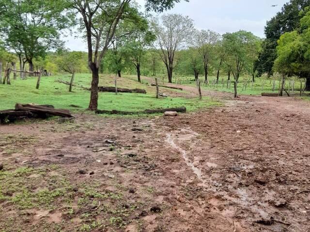 Venda em Cajueiro - Balsas