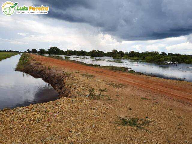 #2664 - Fazenda para Venda em Corumbá - MS - 3