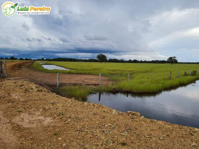 Fazenda para Venda em Corumbá - 4