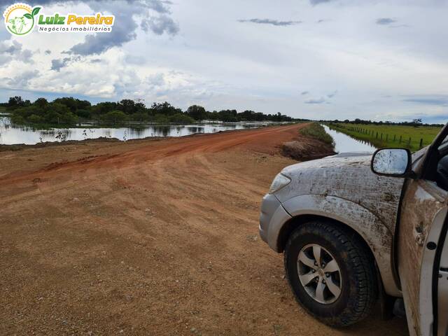 Fazenda para Venda em Corumbá - 5