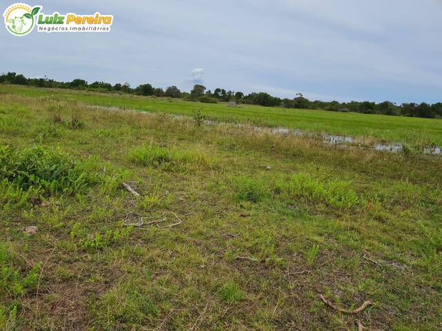 #2664 - Fazenda para Venda em Corumbá - MS - 2