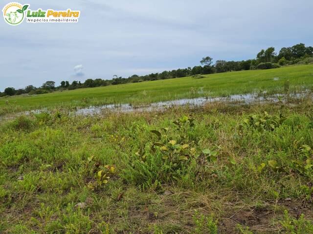 #2664 - Fazenda para Venda em Corumbá - MS - 1