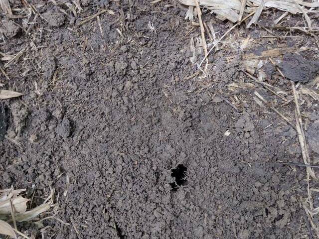Fazenda para Venda em Coelho Neto - 5