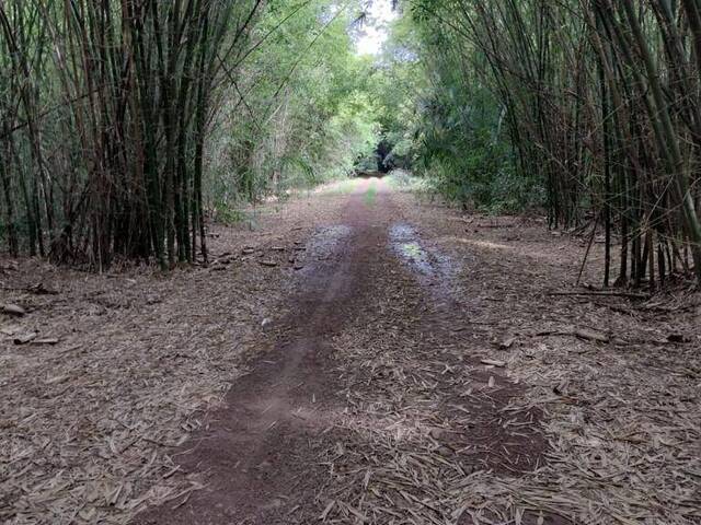 Fazenda para Venda em Coelho Neto - 4