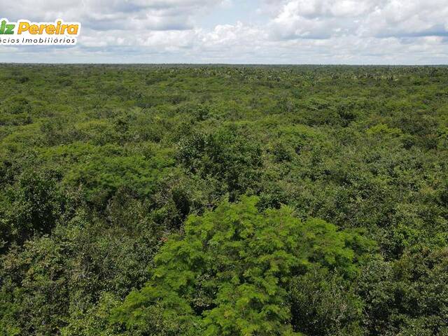 #2665 - Fazenda para Venda em Coelho Neto - MA - 2