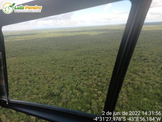 #2665 - Fazenda para Venda em Coelho Neto - MA - 3