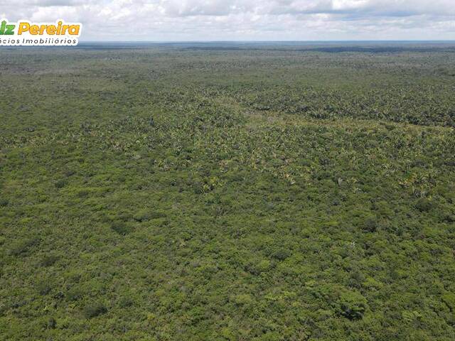 #2665 - Fazenda para Venda em Coelho Neto - MA - 1