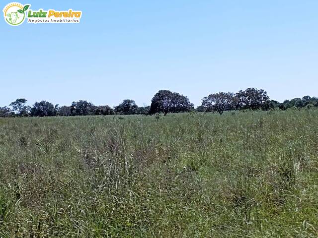 Fazenda para Venda em Cristalândia - 5