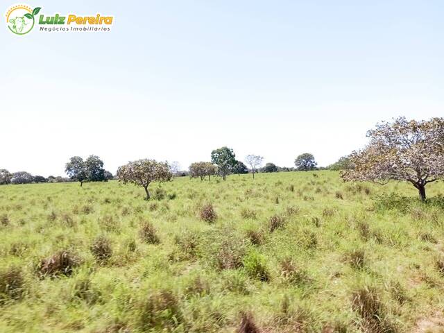 Fazenda para Venda em Cristalândia - 4