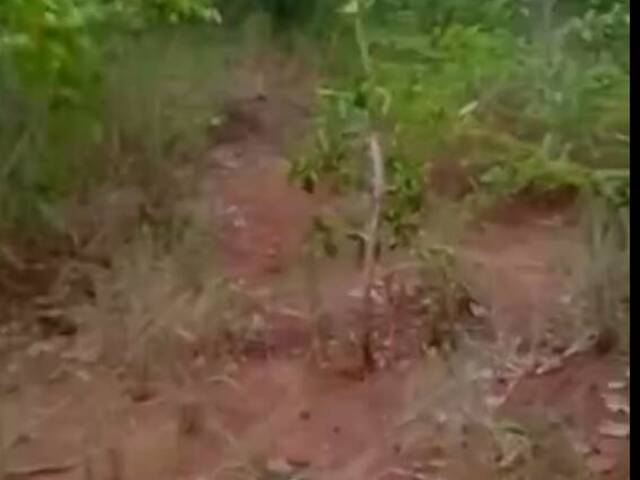 Fazenda para Venda em Peixe - 5