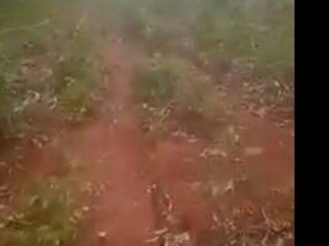 Fazenda para Venda em Peixe - 5