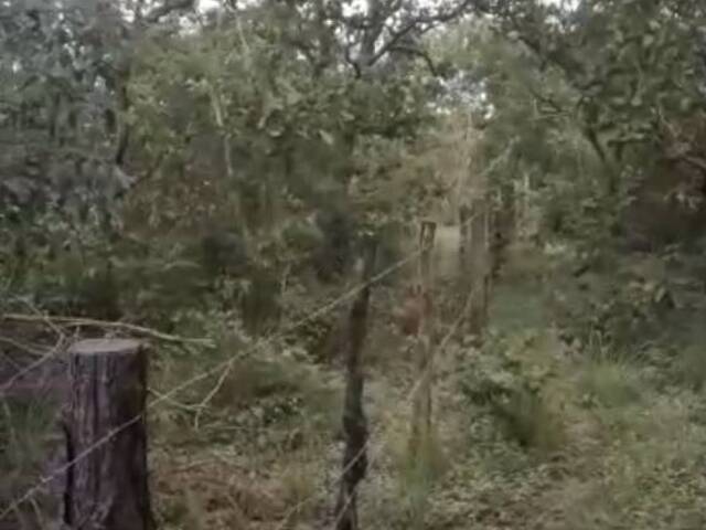 Fazenda para Venda em Timon - 4