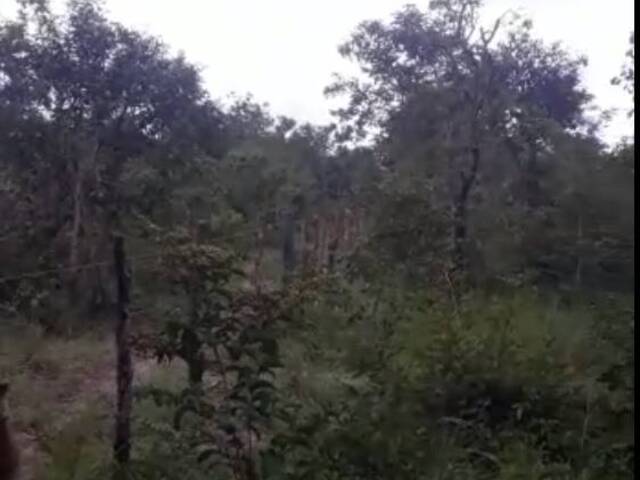 Fazenda para Venda em Timon - 5