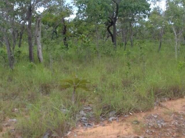 Fazenda para Venda em Carolina - 5