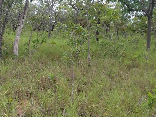 Fazenda para Venda em Carolina - 4