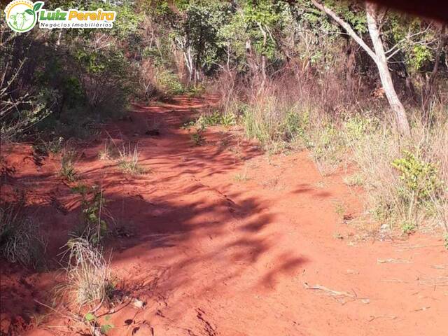 #2670 - Fazenda para Venda em Alto Parnaíba - MA - 2