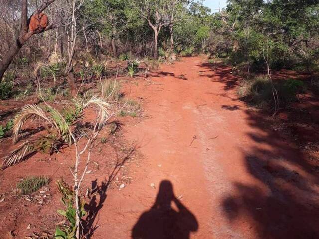 #2670 - Fazenda para Venda em Alto Parnaíba - MA - 3