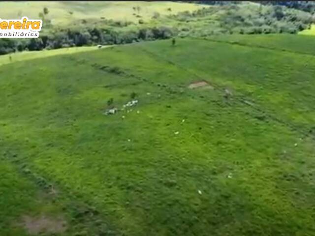 Fazenda para Venda em Tucuruí - 4