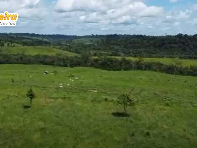 Fazenda para Venda em Tucuruí - 5