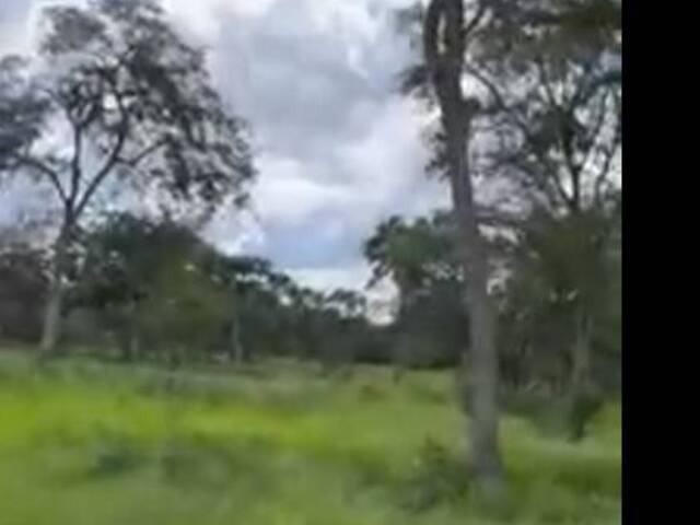 Fazenda para Venda em Corumbá - 5