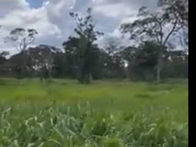 Fazenda para Venda em Corumbá - 4