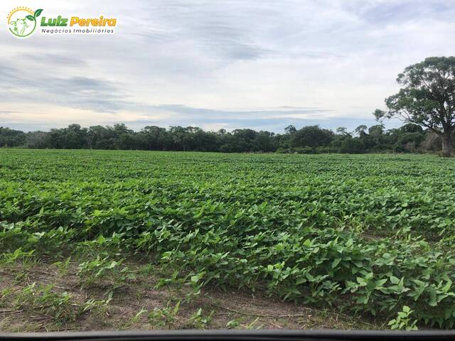 Fazenda para Venda em Cristalândia - 5
