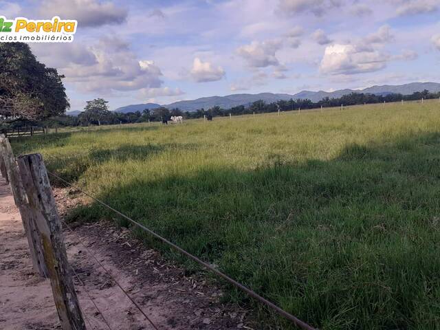 #2677 - Fazenda para Venda em Cumaru do Norte - PA - 3