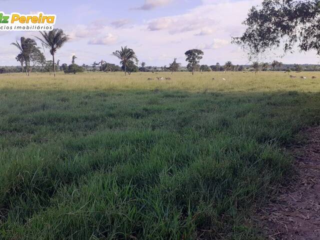 Fazenda para Venda em Cumaru do Norte - 4