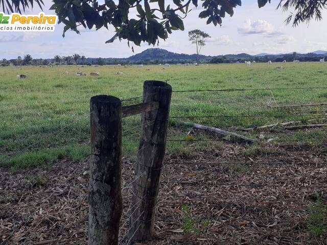 Fazenda para Venda em Cumaru do Norte - 5