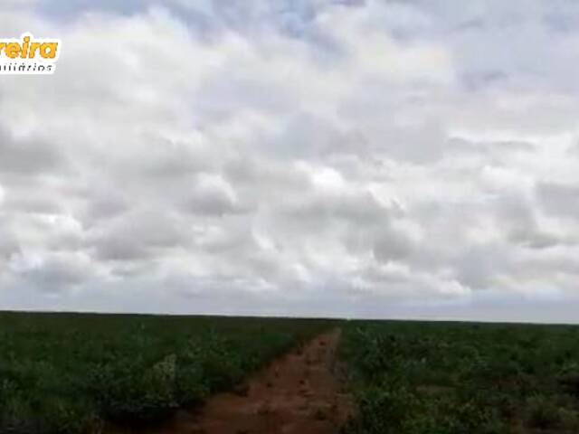 Fazenda para Venda em Santa Maria do Pará - 5