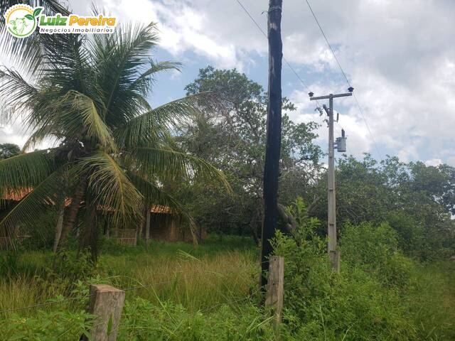 #2679 - Fazenda para Venda em Santa Maria do Pará - PA - 1