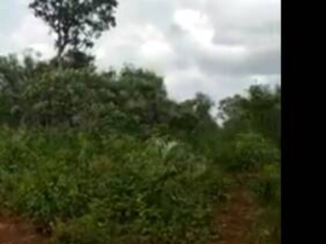 Fazenda para Venda em Santa Maria do Pará - 4