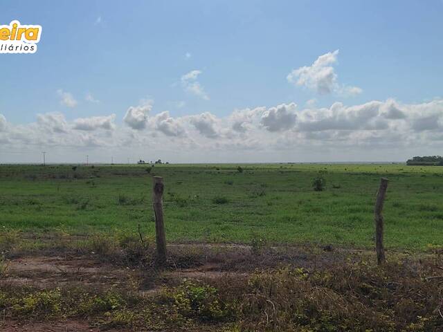 Fazenda para Venda em São Francisco do Maranhão - 4
