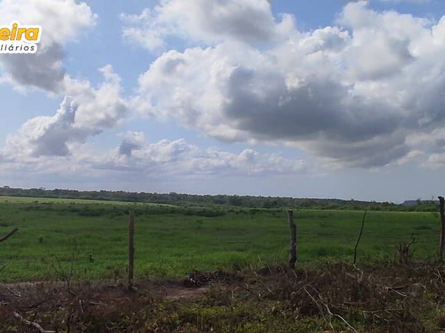 Fazenda para Venda em São Francisco do Maranhão - 5