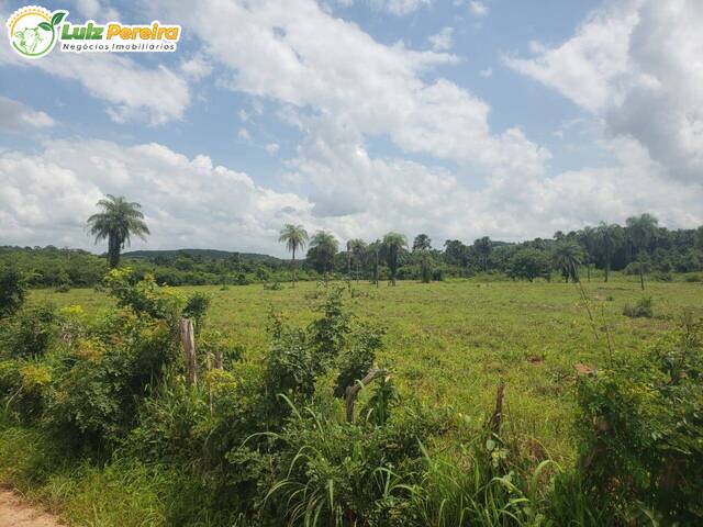 #2680 - Fazenda para Venda em Barra do Corda - MA - 1