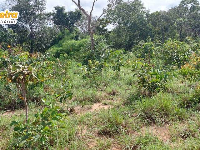 #2686 - Fazenda para Venda em São Valério da Natividade - TO - 2