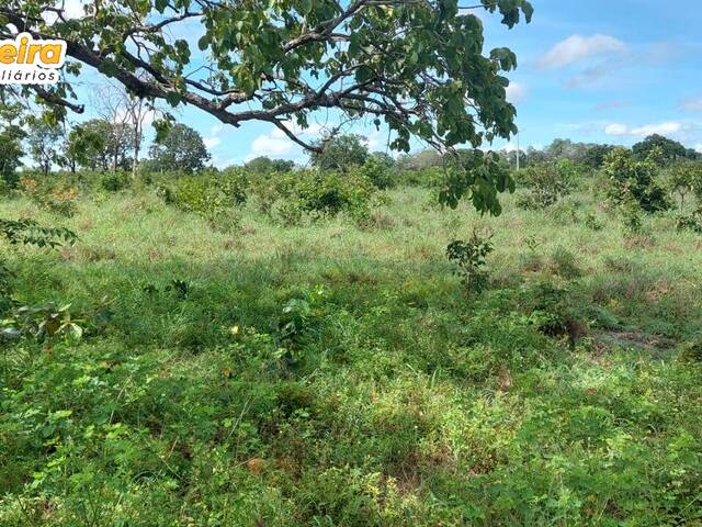 Fazenda para Venda em São Valério da Natividade - 4