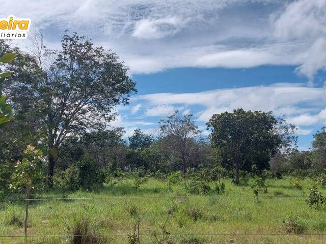 Fazenda para Venda em São Valério da Natividade - 5