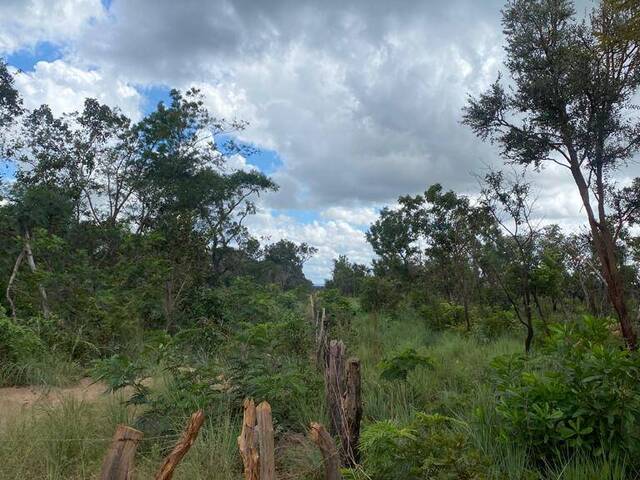 #2687 - Fazenda para Venda em Riachão - MA - 1