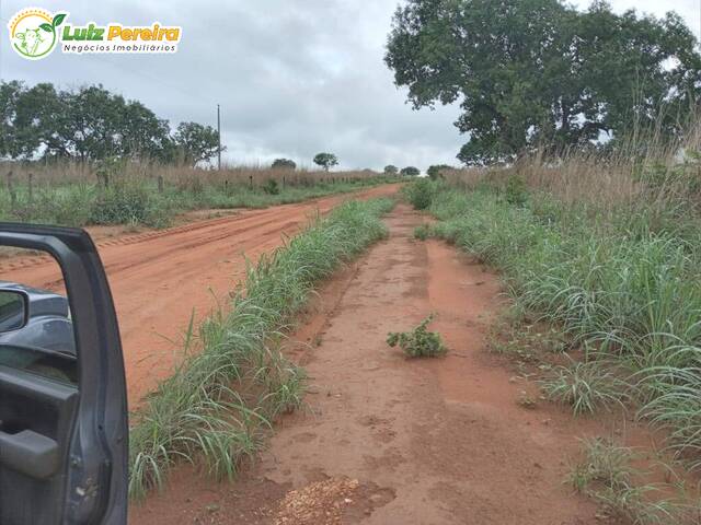 Fazenda para Venda em Goiatins - 4